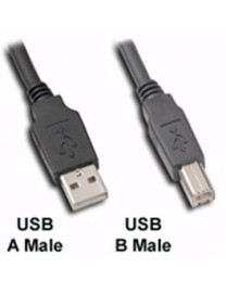 Câble imprimante USB 6FT