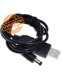 Câble USB vers prise électrique 5V